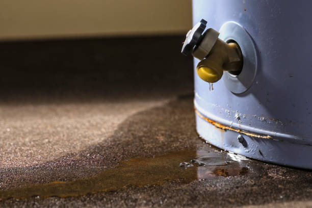 Best Carpet water damage restoration  in Boronda, CA