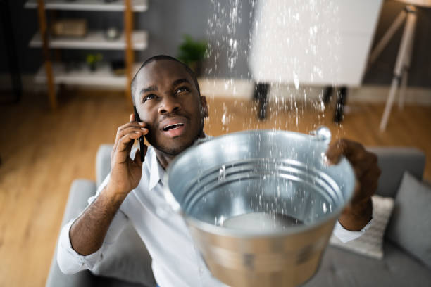 Best 24-hour water damage restoration  in Boronda, CA