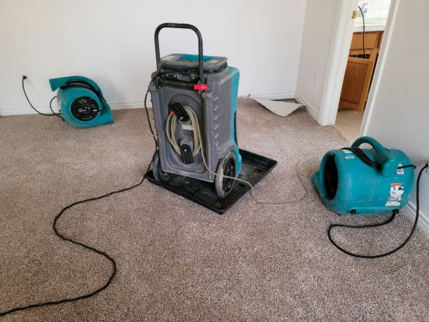 Best Professional water damage repair  in Boronda, CA