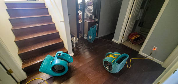 Best Sewage cleanup and water damage restoration  in Boronda, CA