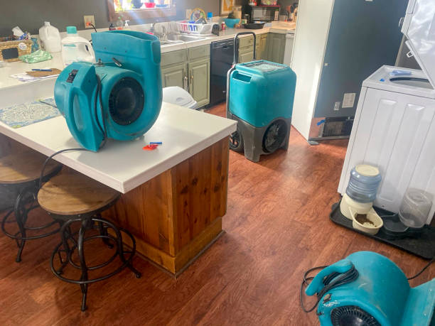 Best Water damage restoration mold remediation  in Boronda, CA