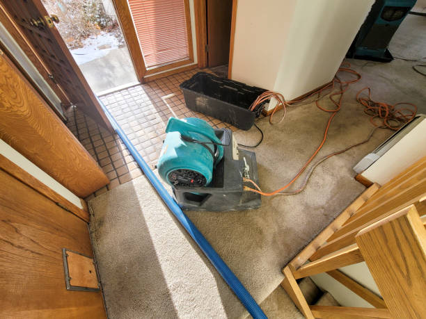 Best Water damage restoration near me  in Boronda, CA