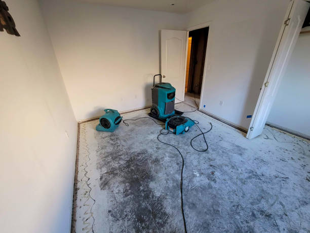 Best Residential water damage restoration  in Boronda, CA