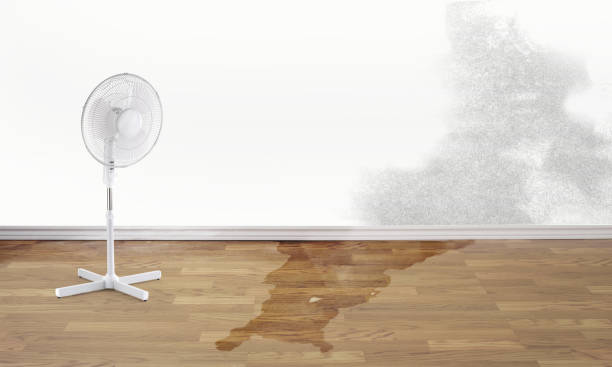Best Water damage contractors near me  in Boronda, CA