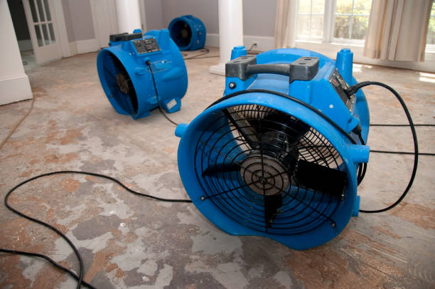 Best 24/7 water damage repair  in Boronda, CA