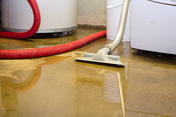 Best Water damage restoration near me  in Boronda, CA