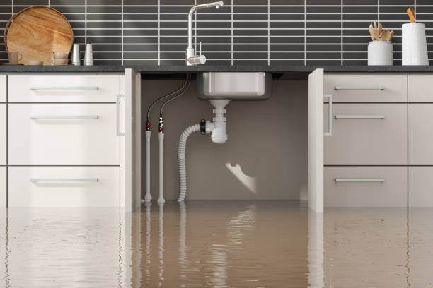 Best 24-hour water damage restoration  in Boronda, CA