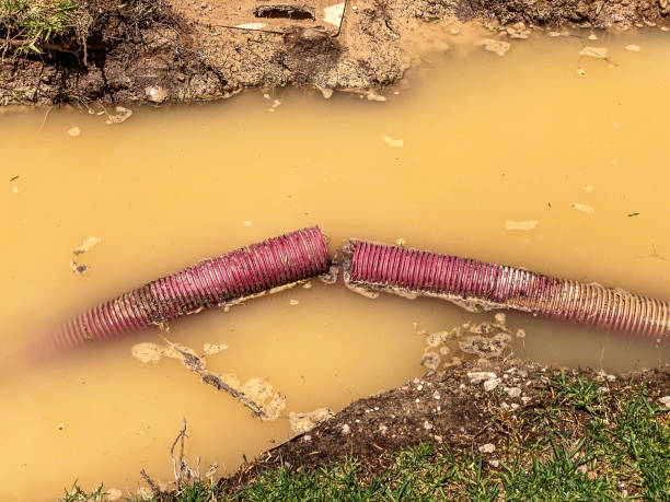 Carpet water damage restoration in Boronda, CA